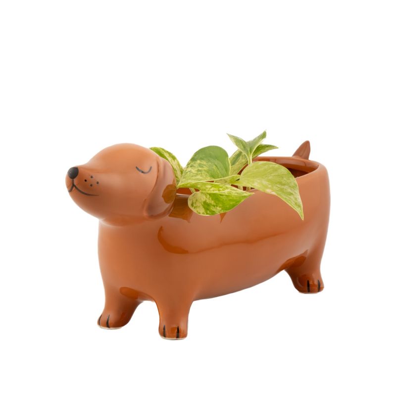 BLOMSTERPOTTE – Dachshund – Sass & Belle