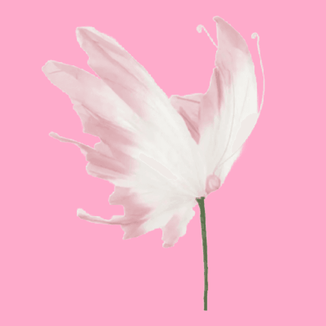 Hovedbilde BLOMSTERPINNE – Rosa sommerfugl – Alot