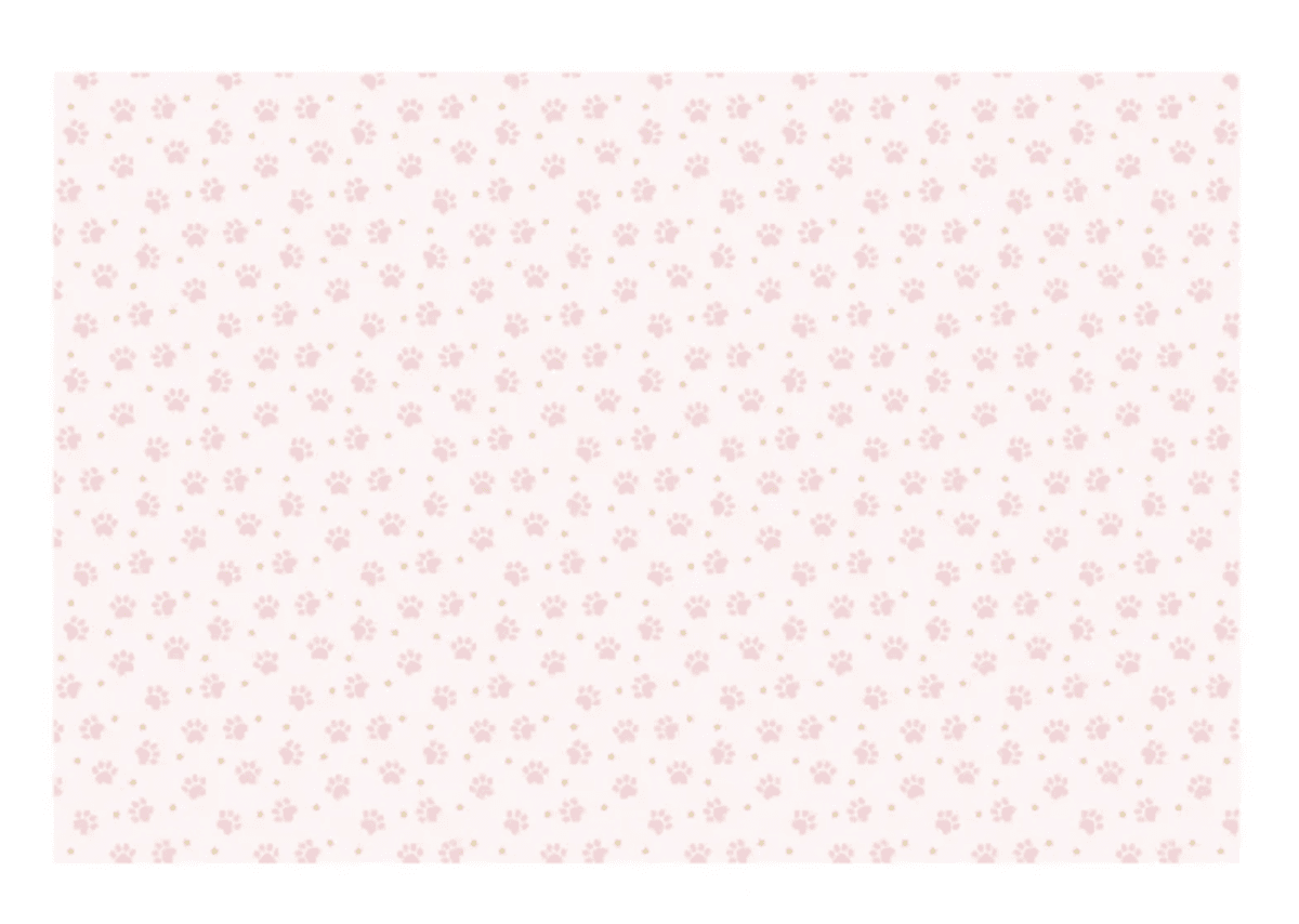 PAPIRDUK – Poter – PartyDeco