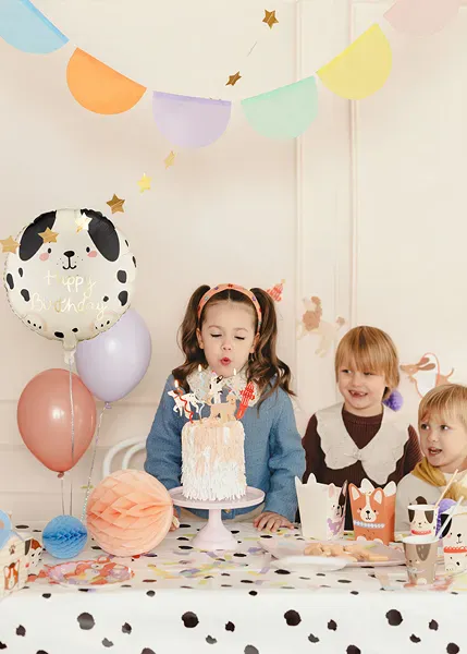 Hovedbilde FOLIEBALLONG – Happy Birthday Hund – PartyDeco