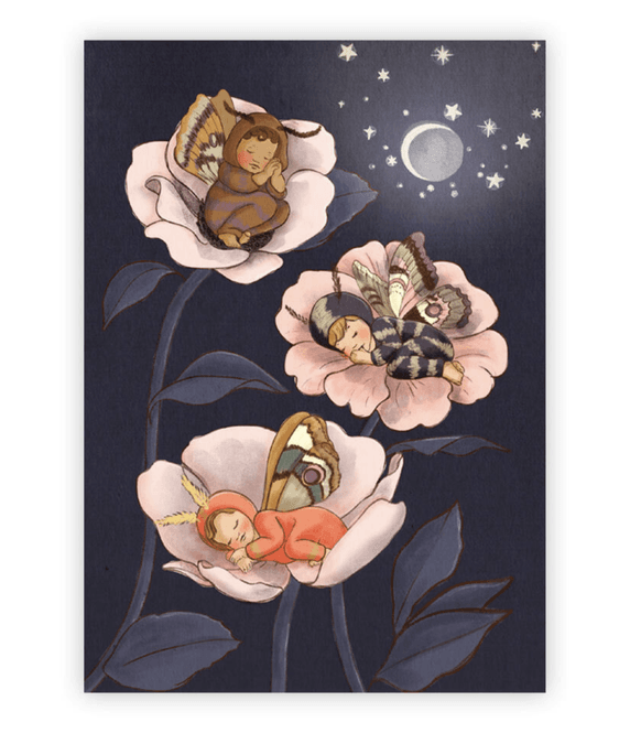 Hovedbilde KORT – Moth Babies – Belle & Boo