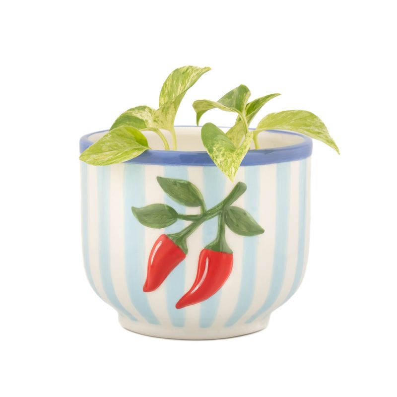 LITEN BLOMSTERPOTTE – Chili med striper – Sass & Belle